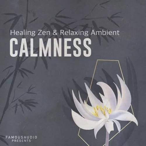FA160 Calmness Healing Zen & Relaxing Ambient WAV