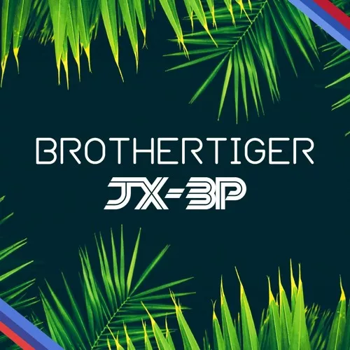 JX-3P Brothertiger v1_0_0 EXPANION