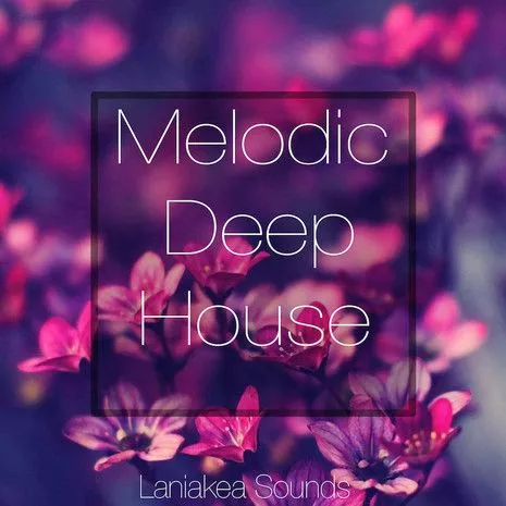 Laniakea Sounds Melodic Deep House WAV MIDI NMSV