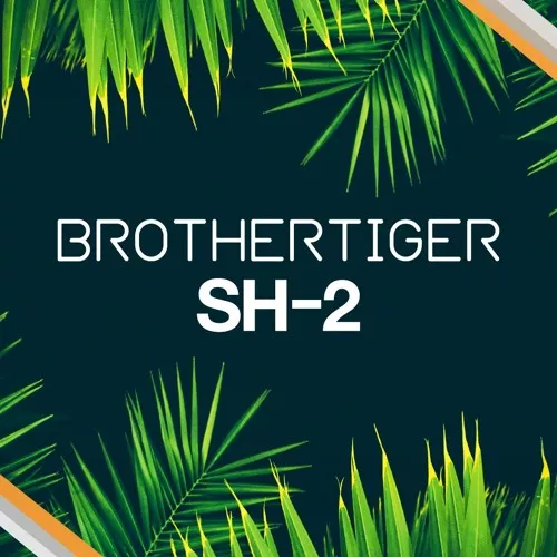 SH-2 Brothertiger v1.0.0 EXPANION