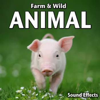 Sound Ideas Farm Wild Animal Sound Effects FLAC