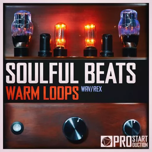 Beatrising Soulful Beats Warm Loops WAV