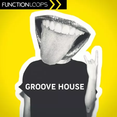 Function Loops Groove House WAV