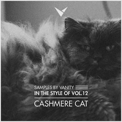 Samples by Vanity In The Style Of Vol.12 - CASHMERE CAT