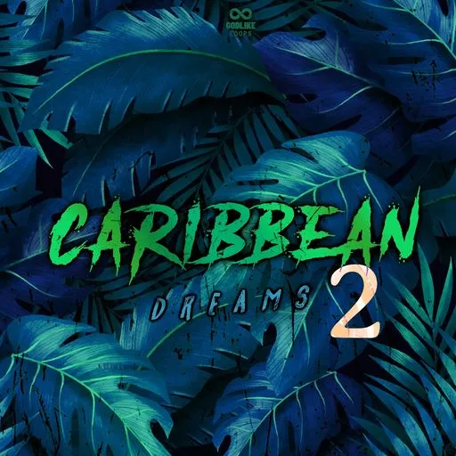 Loops 4 Producers Caribbean Dreams 2 WAV