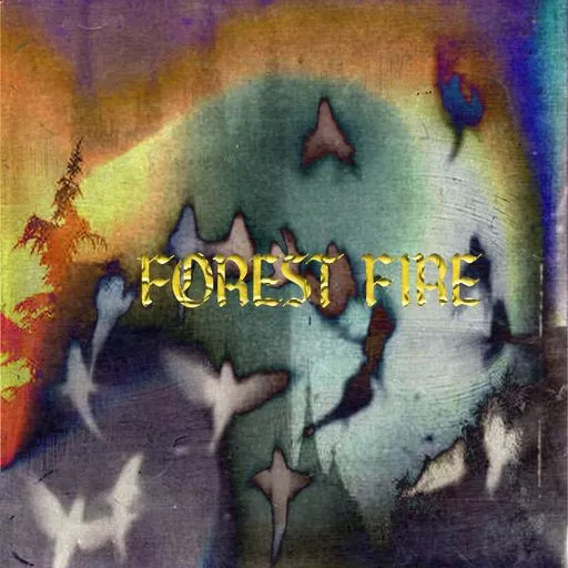Loops 4 Producers Forest Fire WAV