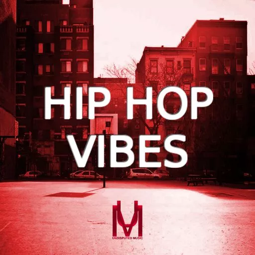 Loops 4 Producers Hip Hop Vibes WAV