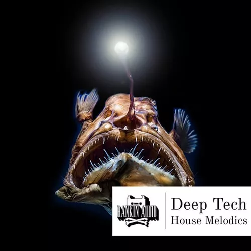 Rankin Audio Deep Tech House Melodics WAV MIDI 