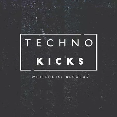 Whitenoise Records Techno Kicks WAV
