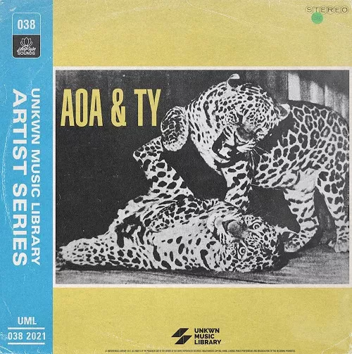 AOA & TY Vol.1 (Sample Pack WAV