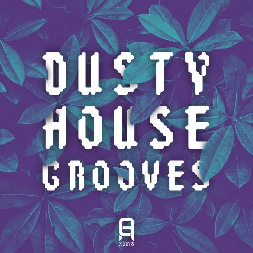 Ultimate Loops Dusty House Grooves WAV
