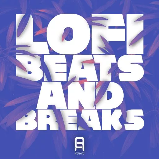 Ultimate Loops Lofi Beats & Breaks WAV