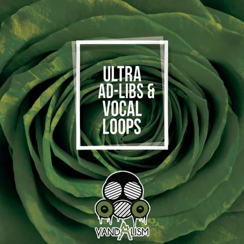 Ultra Ad-Libs & Vocal Loops WAV