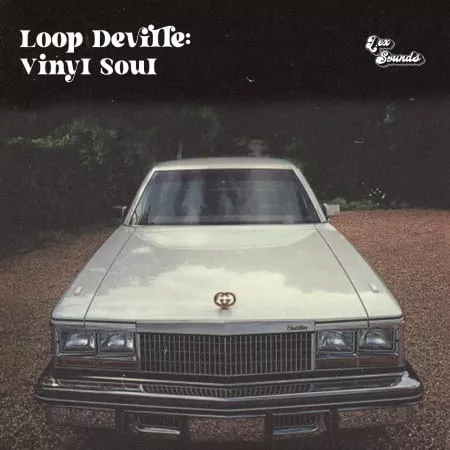 LEX Sounds Loop Deville Vinyl Soul WAV