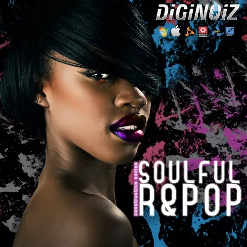 Diginoiz Soulful R&Pop WAV 