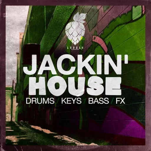 Dirty Music Jackin House WAV