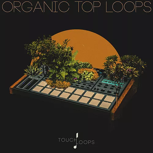 Touch Loops Organic Top Loops WAV
