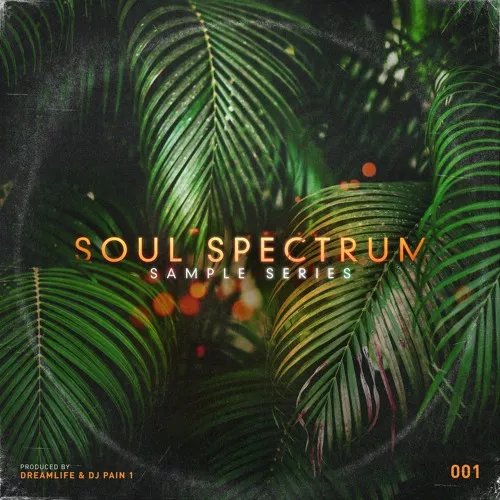 The Sample Lab Soul Spectrum Vol.1 (Compositions & Stems) WAV