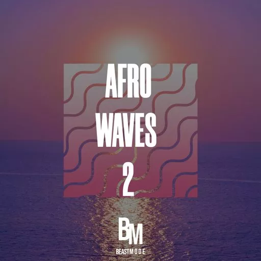 HOOKSHOW Afro Waves 2 WAV
