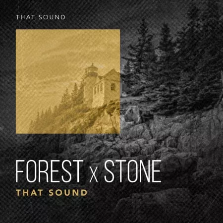 That Sound Forest X Stone WAV