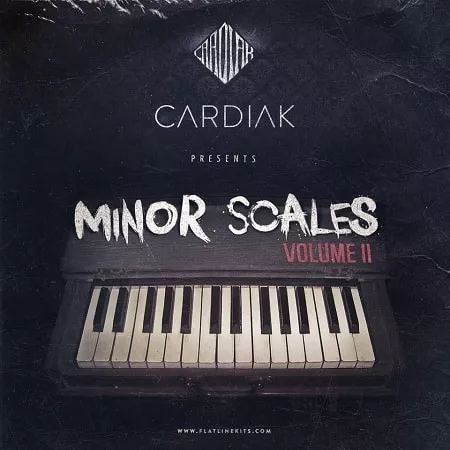 Cardiak Presents Minor Scales Vol.2 [WAV MIDI]