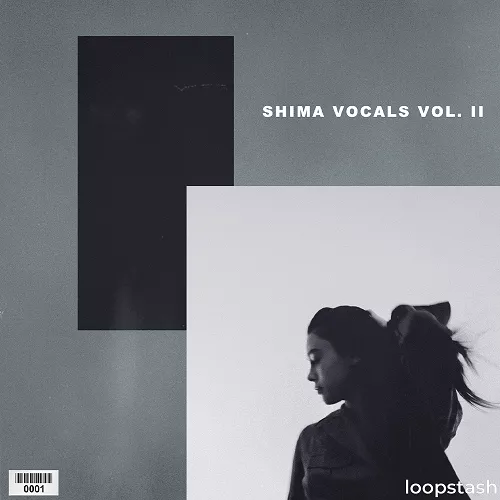 loopstash SHIMA x KXVI Vocal Chops Vol.2 WAV