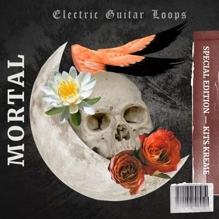 Kits Kreme Mortal - Electric Guitar Loops WAV