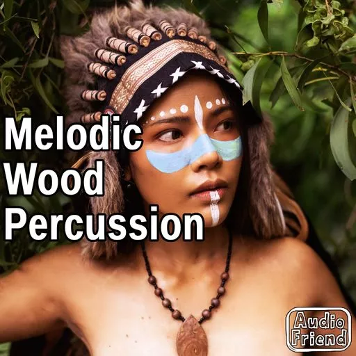 AudioFriend Melodic Wood Percussion WAV
