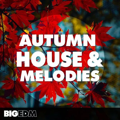 Big EDM Autumn House & Melodies 