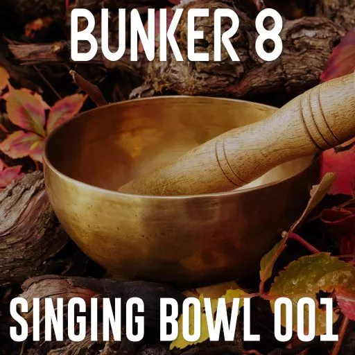  Bunker 8 Singing Bowl Percussive Loops 001 WAV