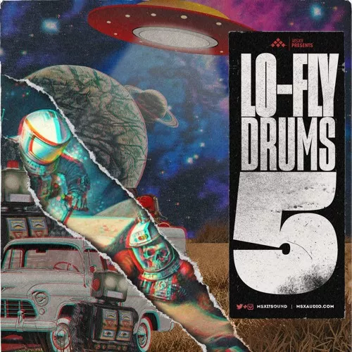 Lo-Fly Drums Vol.5 WAV