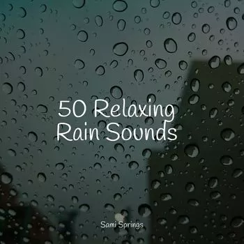 Pro Sound Effects Library 50 Soothing Winter Rain Sounds FLAC