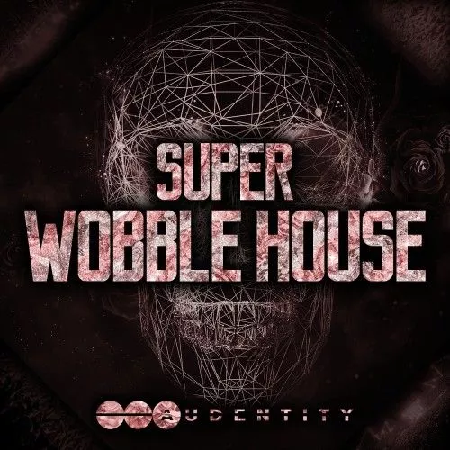Audentity Super Wobble House