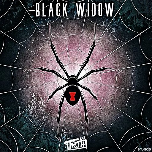 DJ 1Truth Black Widow WAV