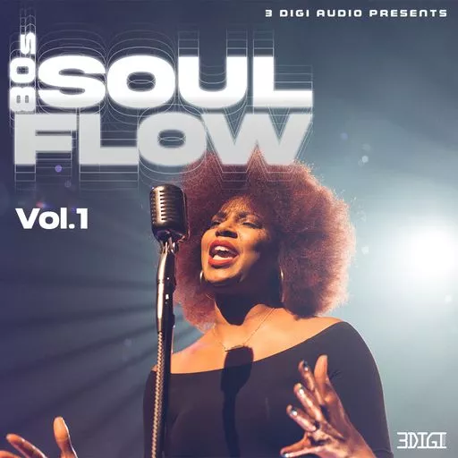 Innovative Samples 80's Soul Flow Vol.1 WAV