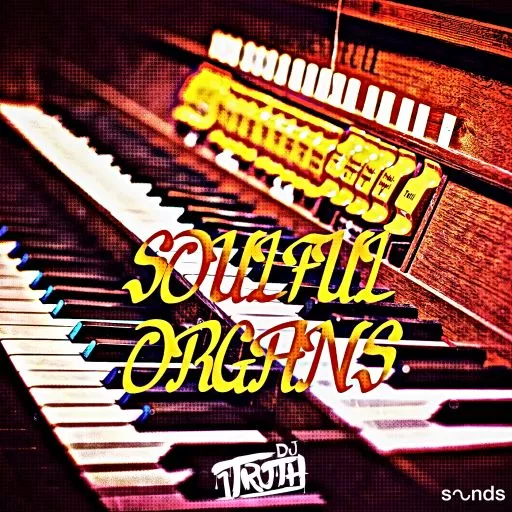DJ 1Truth Soulful Organs WAV