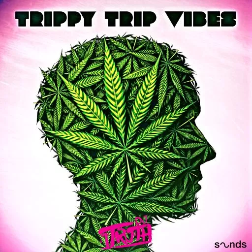 DJ 1Truth Trippy Trip Vibes WAV