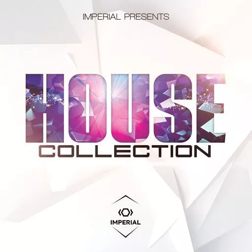 Dynasty Loops House Collection WAV