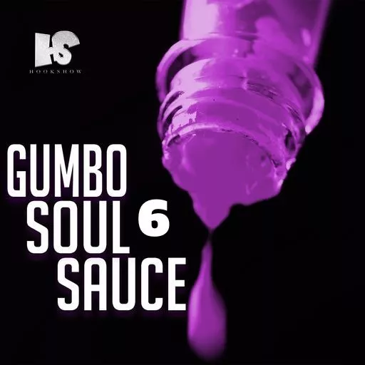HOOKSHOW Gumbo Soul Sauce 6 WAV