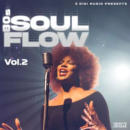 Innovative Samples 80s Soul Flow Vol_4 WAV