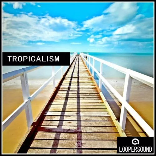 Loopersound Tropicalism [WAV MIDI]