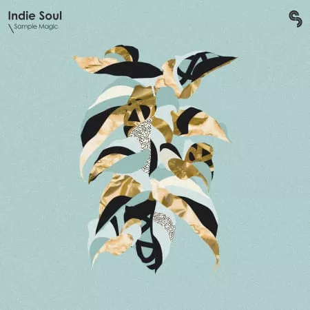 SM Indie Soul [WAV Beatmaker & Astra Presets]