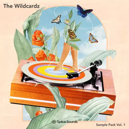 The Wildcardz Sample Pack Vol. 1 WAV PRESETS