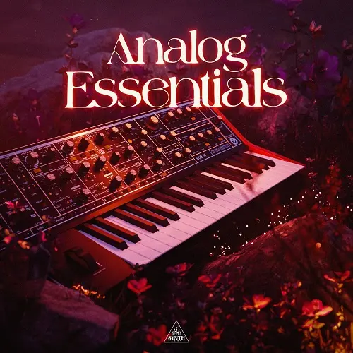 SYNTH PALACE ANALOG ESSENTIALS WAV