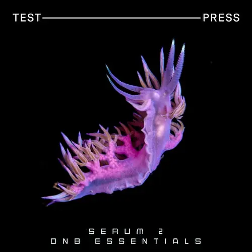 Test Press Serum 2 DnB Essentials [WAV MIDI SERUM 2 PRESETS]