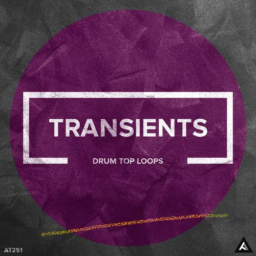 AT251 Transients // Drum Top Loops WAV