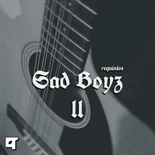 Akyai Requintos Sad Boyz ii WAV