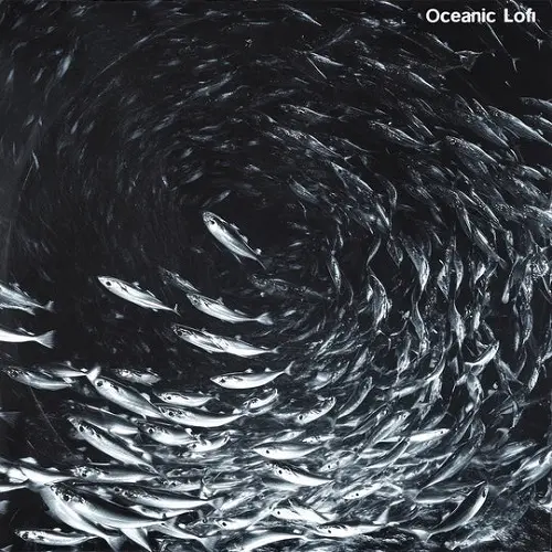 Touch Loops Oceanic LoFi WAV