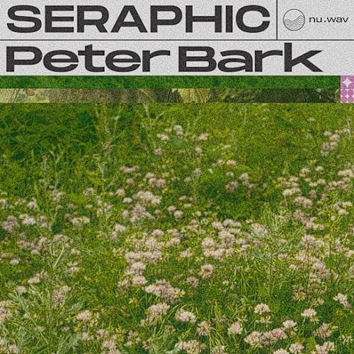 nu.wav Peter Bark - Seraphic WAV