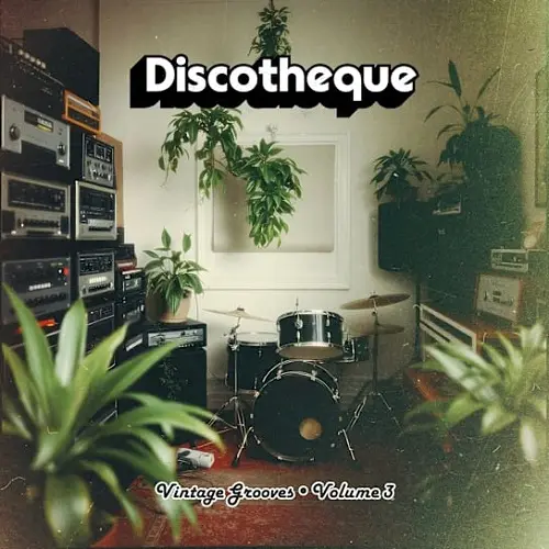 Discotheque Vintage Grooves Vol.3 WAV